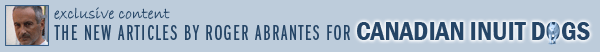 abrantes-banner